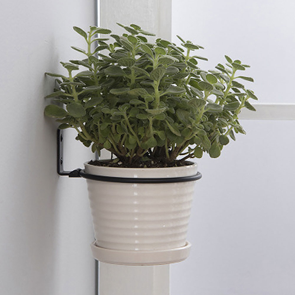 Vassoi per vasi da fiori Porta - Flower Wall Panel recensione e prezzo
